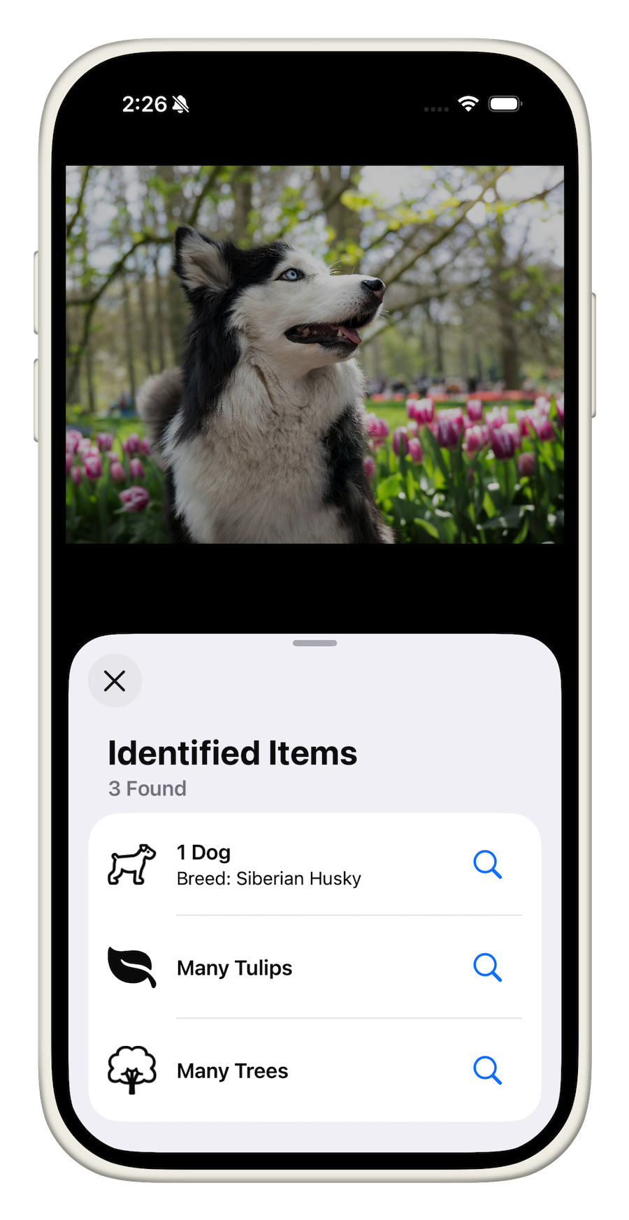 App Screenshot showing identifications of dogs and plants from a photo